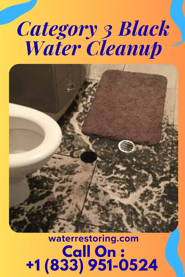 Category 3 Black Water Cleanup in Saltillo, TN