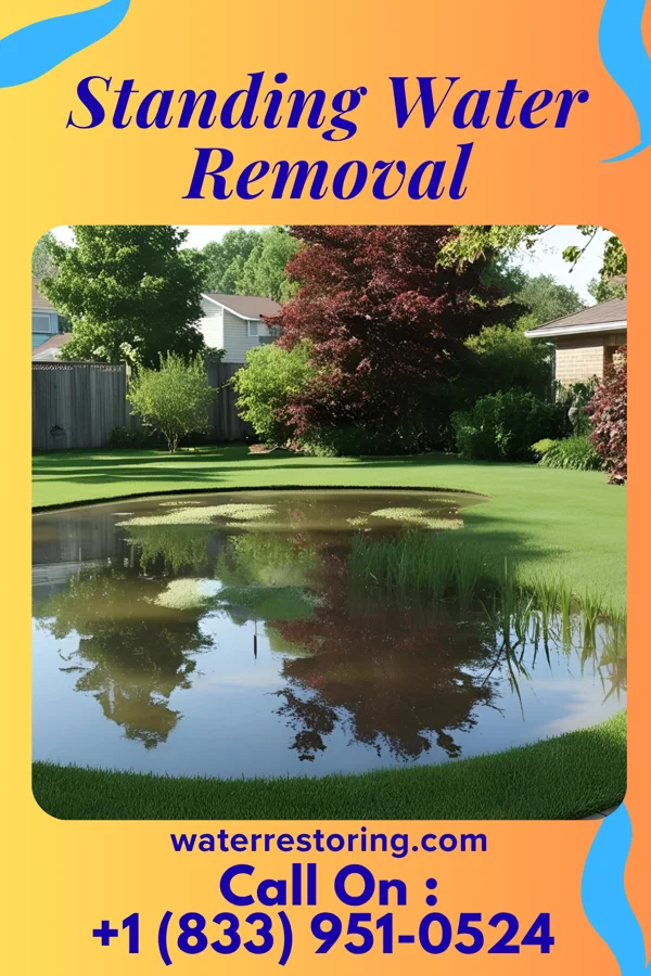 Standing Water Removal in Saltillo, TN